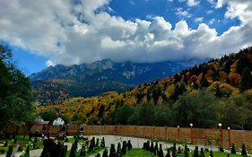 Aroa Mountain 4